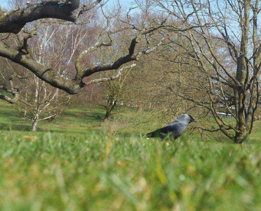 It Was An Ordinary Day Until They Arrived... It Was An Ordinary Day Until They Arrived...