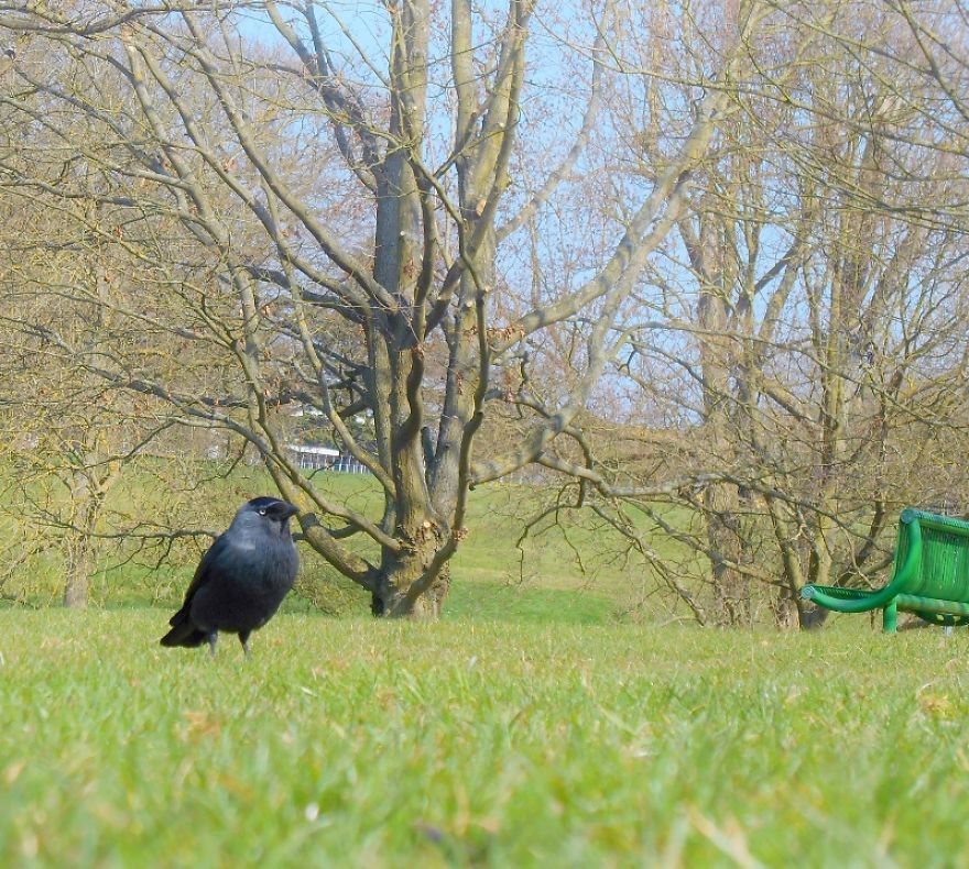 It Was An Ordinary Day Until They Arrived...