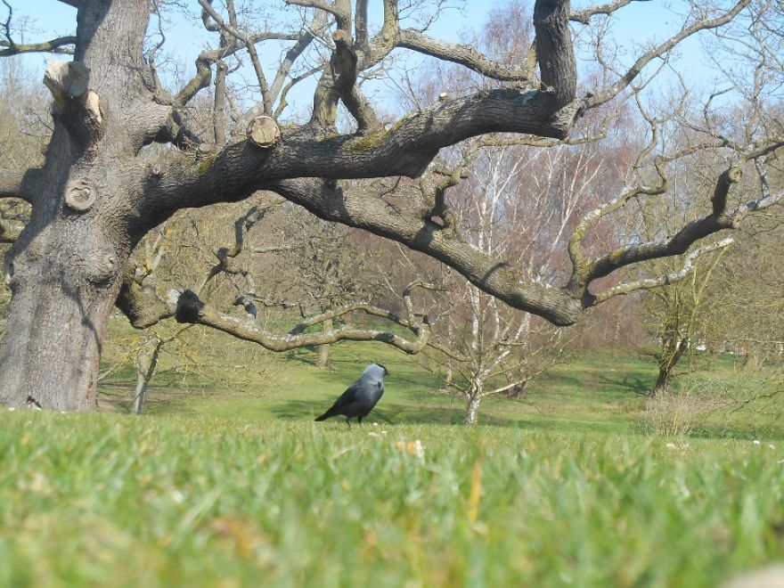 It Was An Ordinary Day Until They Arrived... It Was An Ordinary Day Until They Arrived...