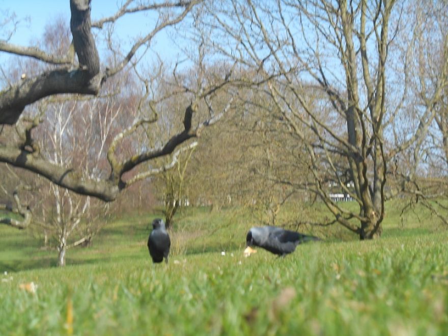 It Was An Ordinary Day Until They Arrived... It Was An Ordinary Day Until They Arrived...