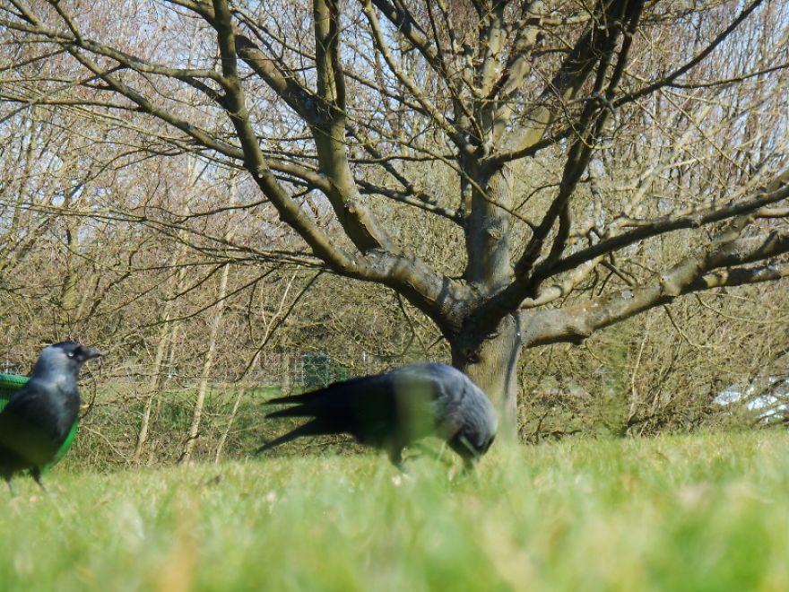 It Was An Ordinary Day Until They Arrived... It Was An Ordinary Day Until They Arrived...