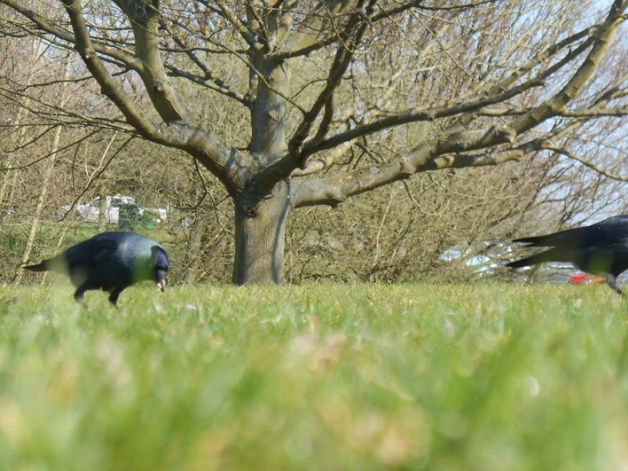 It Was An Ordinary Day Until They Arrived...