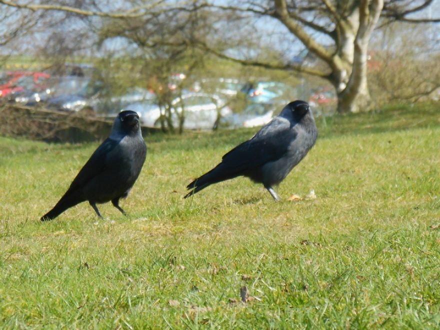 It Was An Ordinary Day Until They Arrived... It Was An Ordinary Day Until They Arrived...