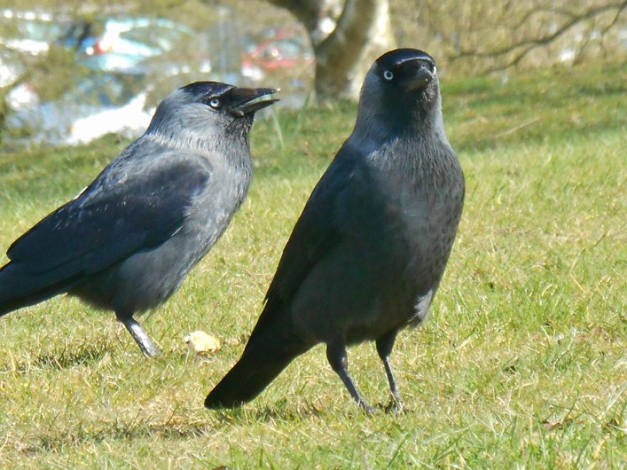 It Was An Ordinary Day Until They Arrived... It Was An Ordinary Day Until They Arrived...