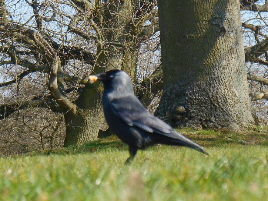 It Was An Ordinary Day Until They Arrived...