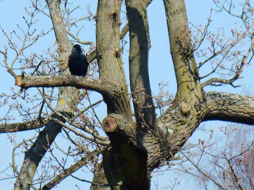 It Was An Ordinary Day Until They Arrived...