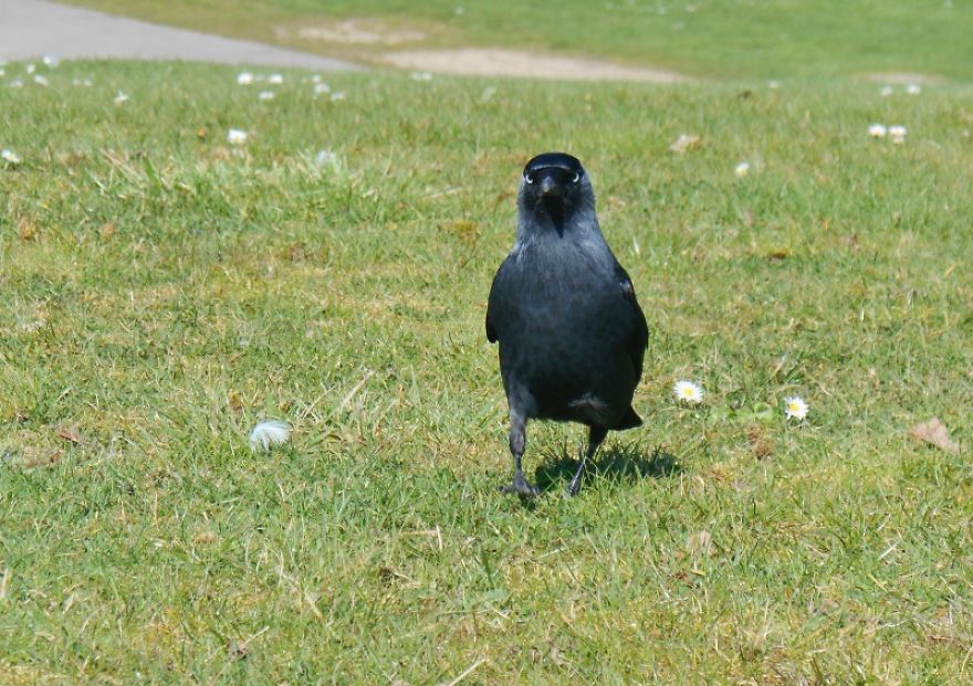 It Was An Ordinary Day Until They Arrived... It Was An Ordinary Day Until They Arrived...