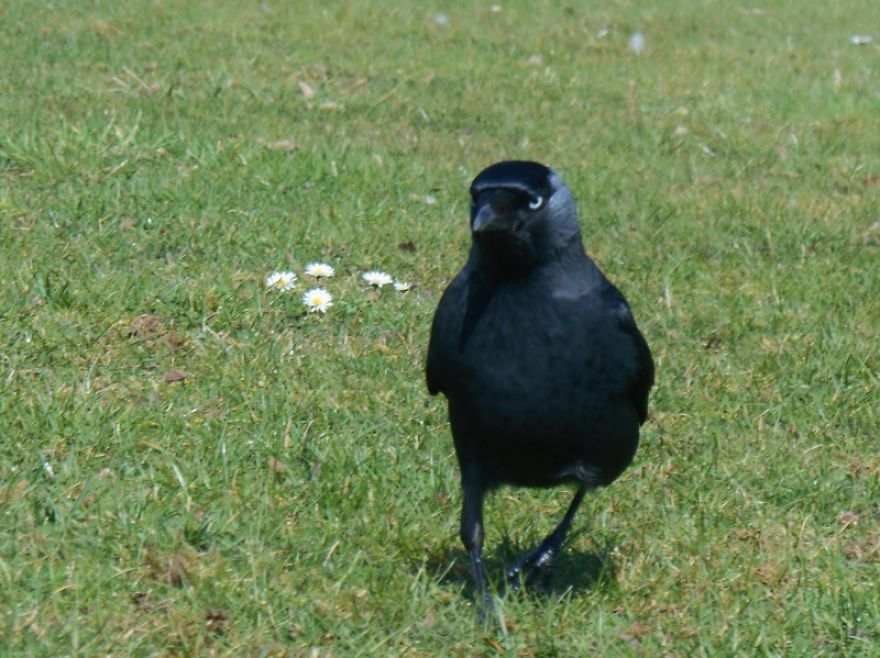 It Was An Ordinary Day Until They Arrived...