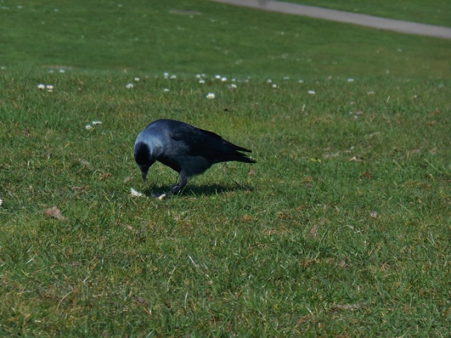It Was An Ordinary Day Until They Arrived... It Was An Ordinary Day Until They Arrived...