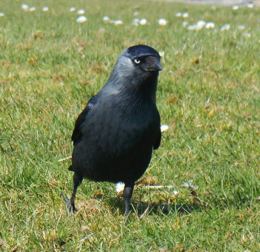 It Was An Ordinary Day Until They Arrived...