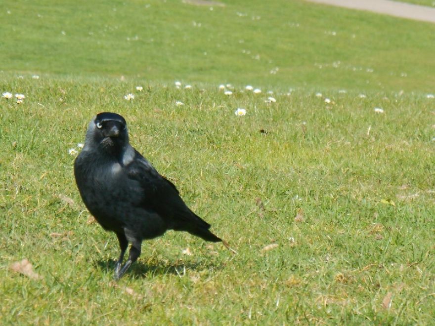 It Was An Ordinary Day Until They Arrived... It Was An Ordinary Day Until They Arrived...