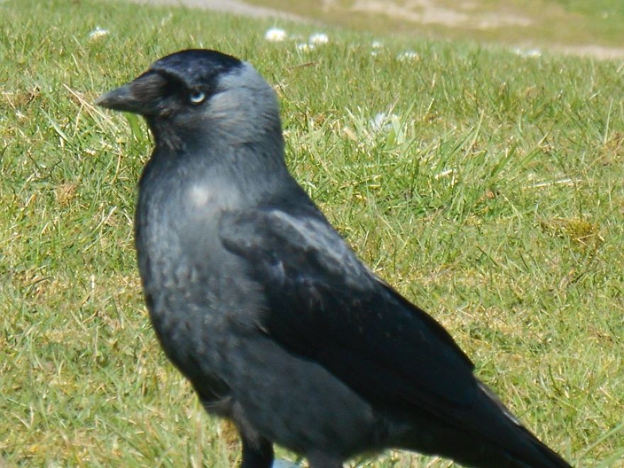 It Was An Ordinary Day Until They Arrived... It Was An Ordinary Day Until They Arrived...