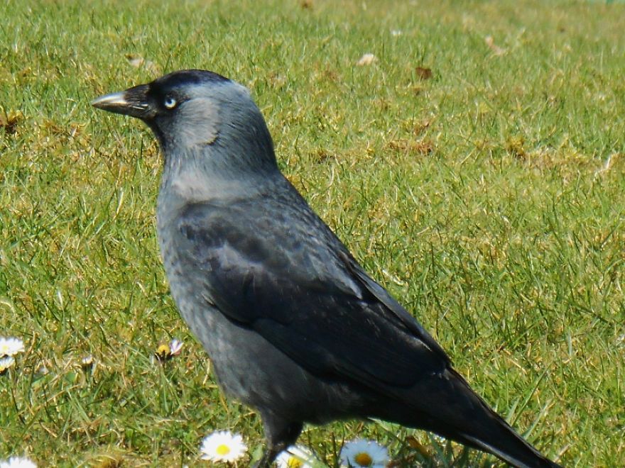 It Was An Ordinary Day Until They Arrived...