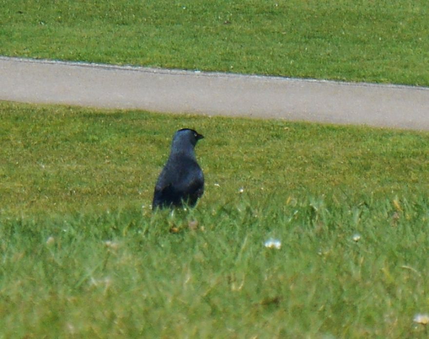 It Was An Ordinary Day Until They Arrived... It Was An Ordinary Day Until They Arrived...