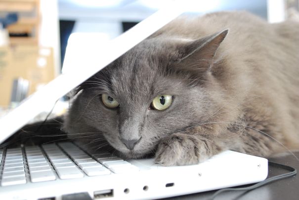 Just Gonna Warm My Head A Little...