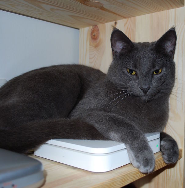 This Is How You Keep Your Internet Safe...