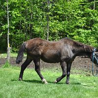 mackenzie_harding_16 avatar