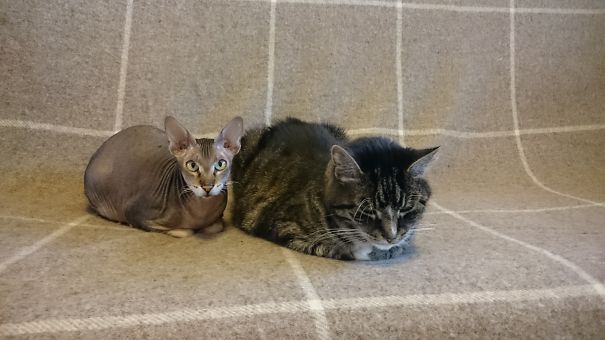 They Keep Each Other Warm