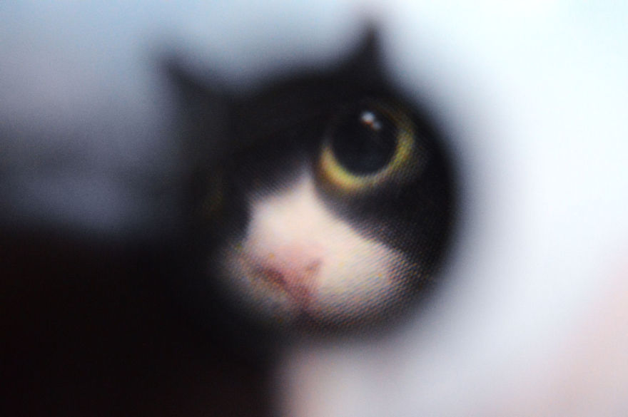 I Take Macro Photos With A Twist