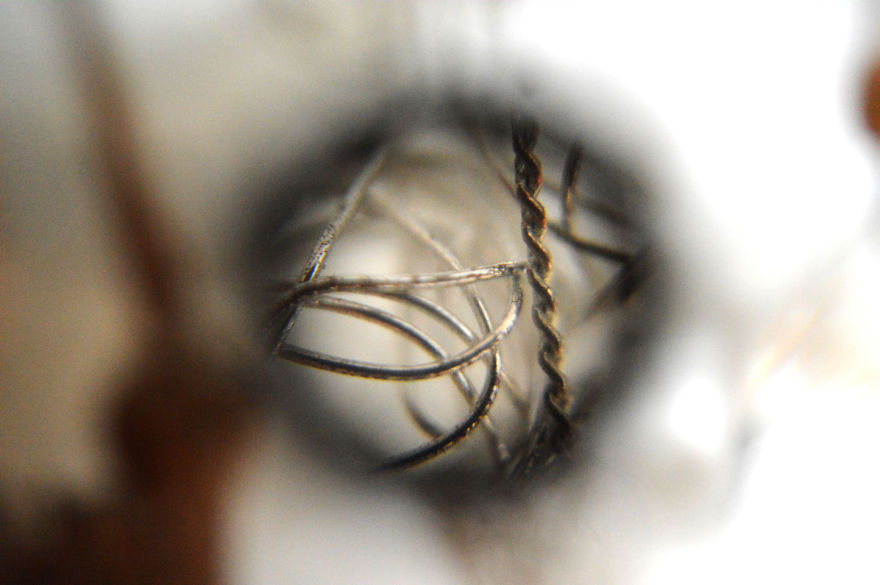 I Take Macro Photos With A Twist