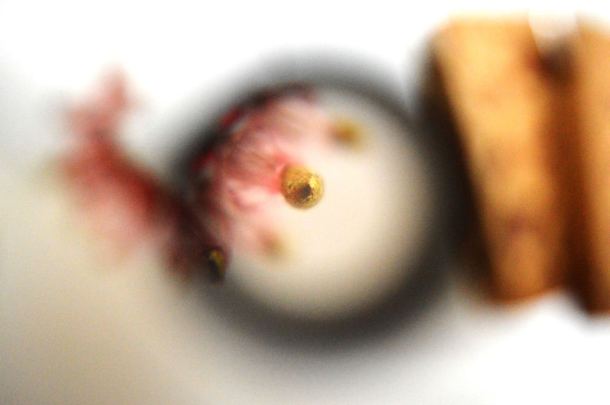 I Take Macro Photos With A Twist