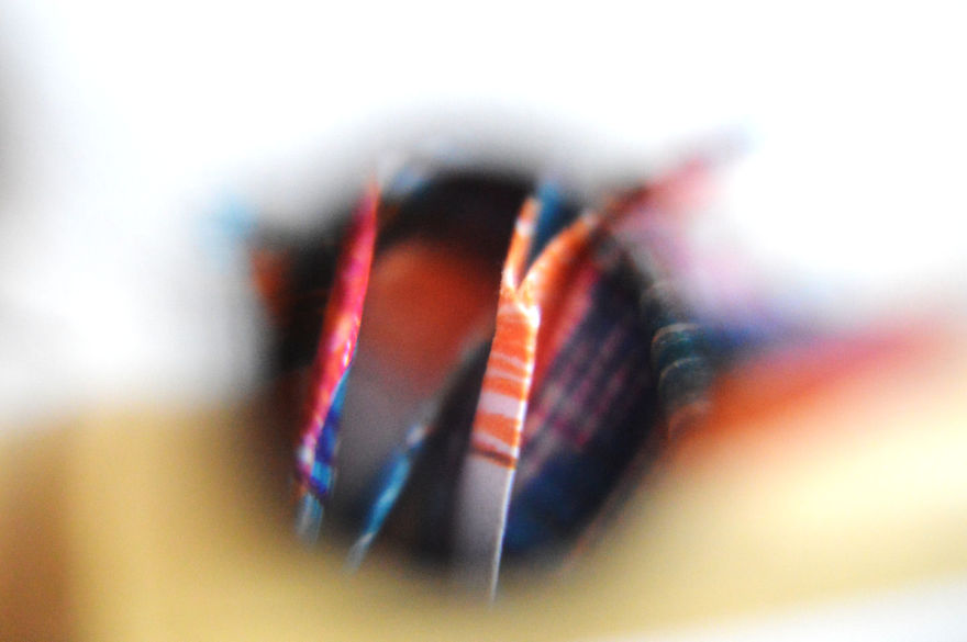 I Take Macro Photos With A Twist