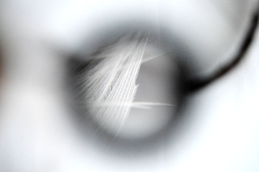 I Take Macro Photos With A Twist