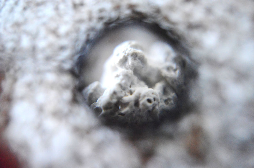 I Take Macro Photos With A Twist