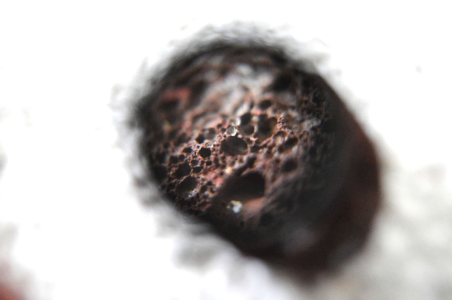 I Take Macro Photos With A Twist