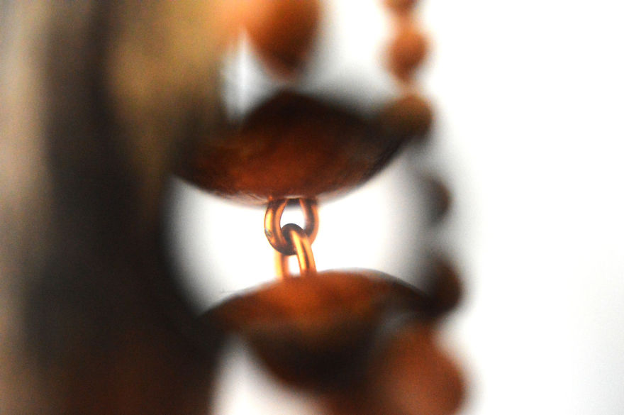 I Take Macro Photos With A Twist