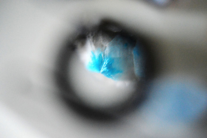 I Take Macro Photos With A Twist