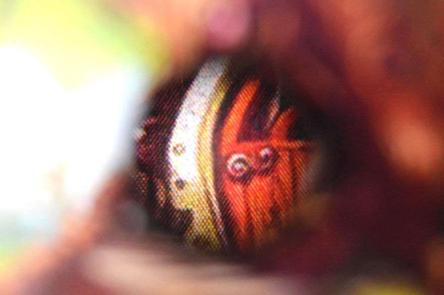 I Take Macro Photos With A Twist