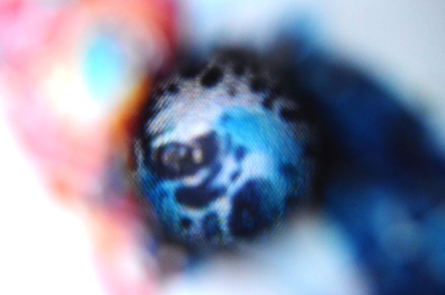 I Take Macro Photos With A Twist