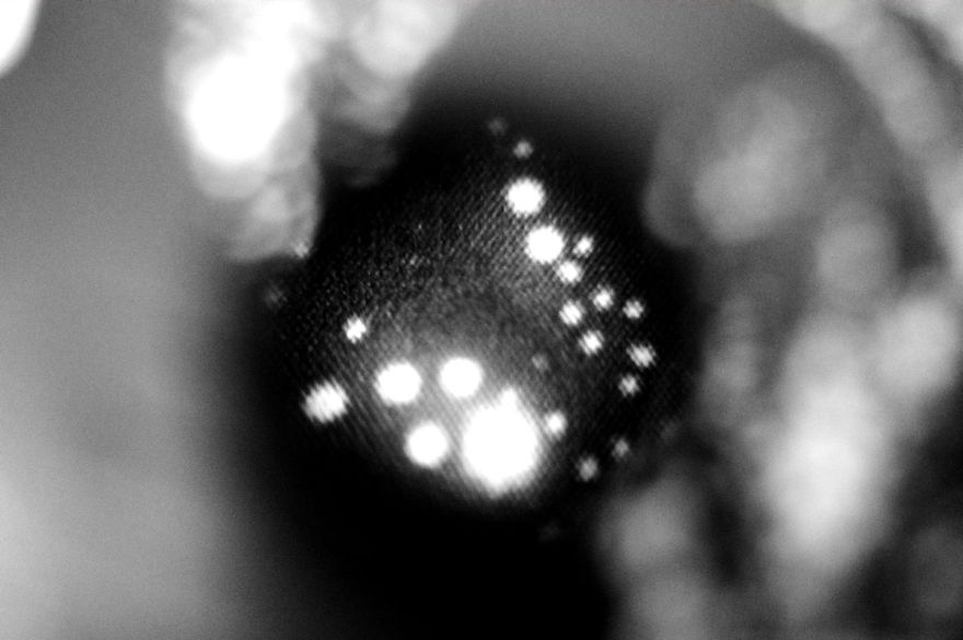 I Take Macro Photos With A Twist