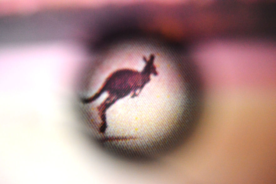 I Take Macro Photos With A Twist