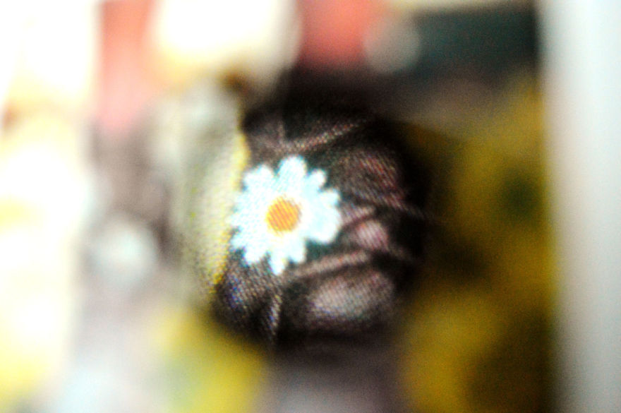 I Take Macro Photos With A Twist
