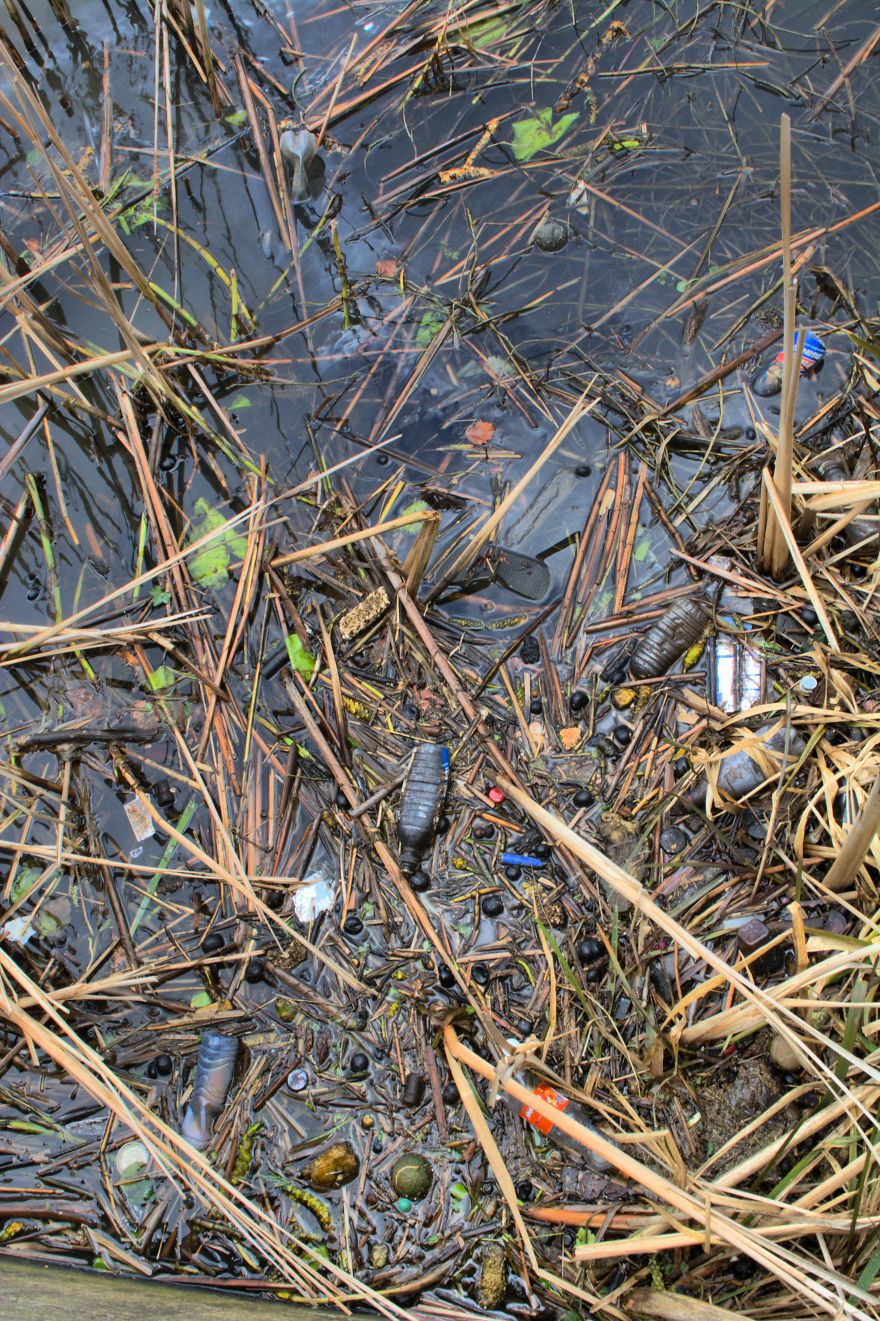 Shall We Take A Swim In Plastic Soup, We Don't Have To Go Far...