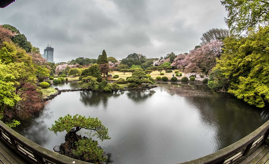 My Quick Week Through Japan