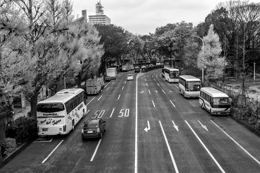 My Quick Week Through Japan