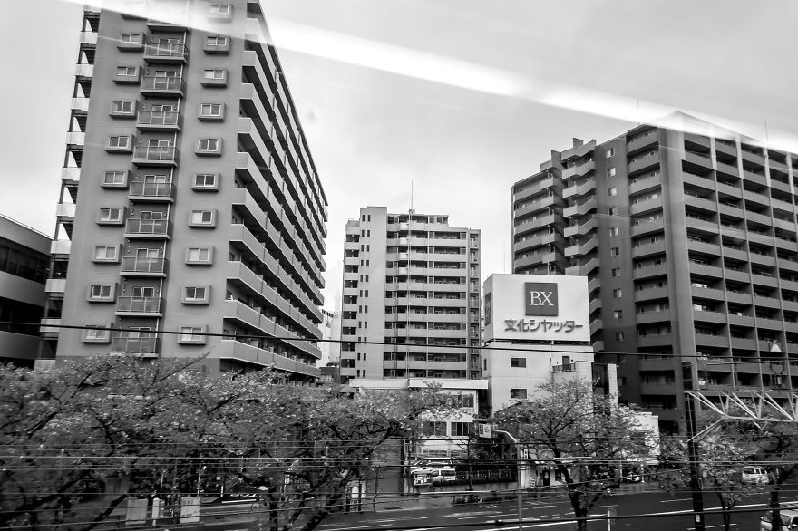 My Quick Week Through Japan