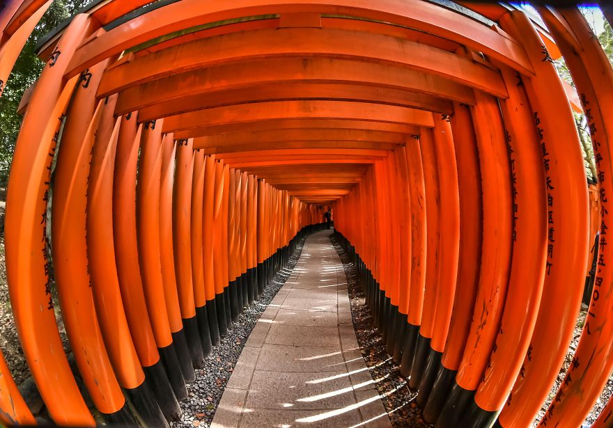 My Quick Week Through Japan