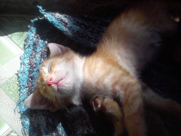 Joe Under The Sunlight.