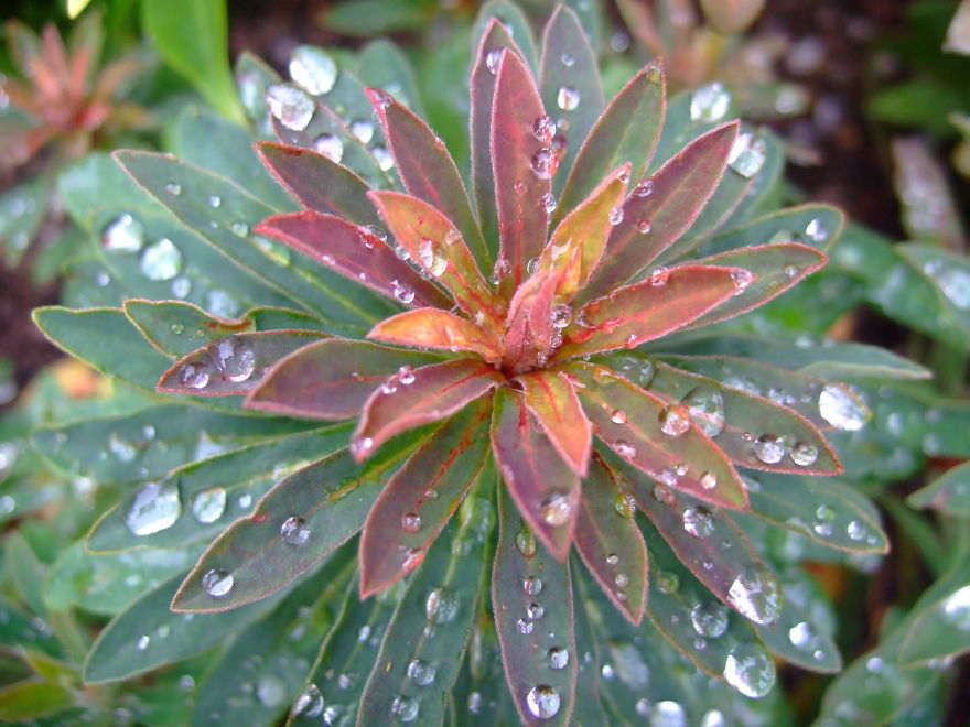 Arjareka Gibson- 7th Period