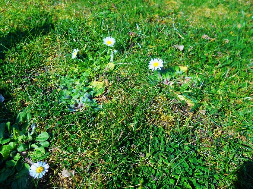 It Was An Ordinary Day Until They Arrived... It Was An Ordinary Day Until They Arrived...