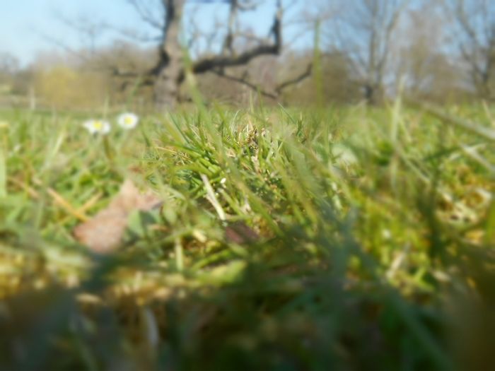 It Was An Ordinary Day Until They Arrived…