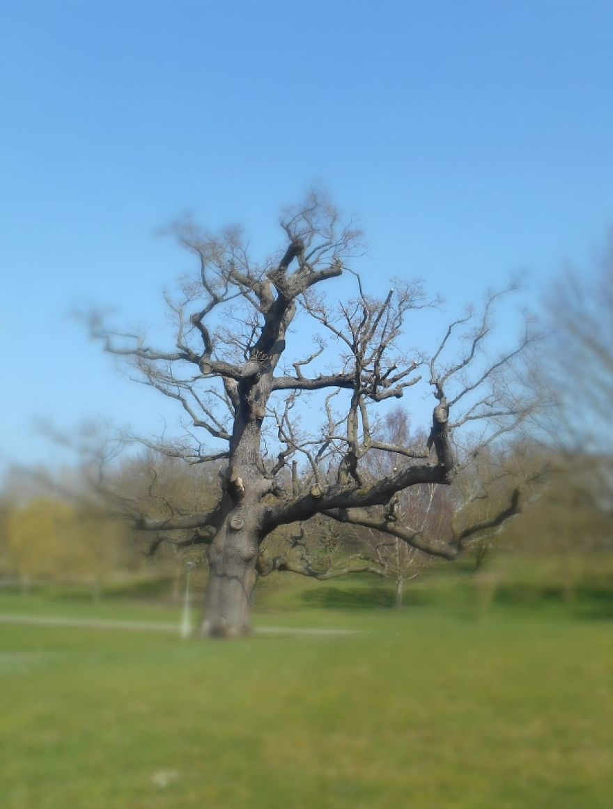 It Was An Ordinary Day Until They Arrived...