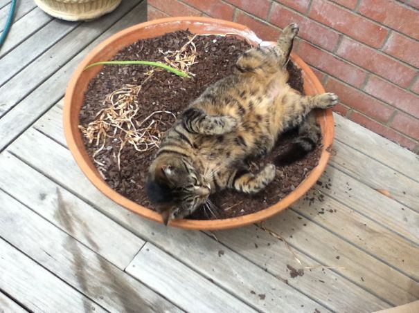 Keeping The Bulbs Warm :)