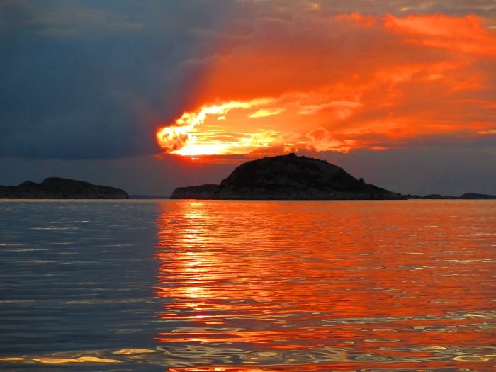 This Looks Like An Animal Head