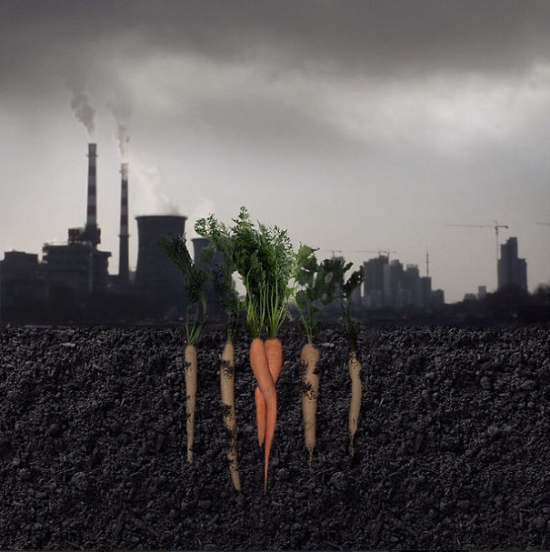 I Can't Write Well, So I Create Pictures Instead