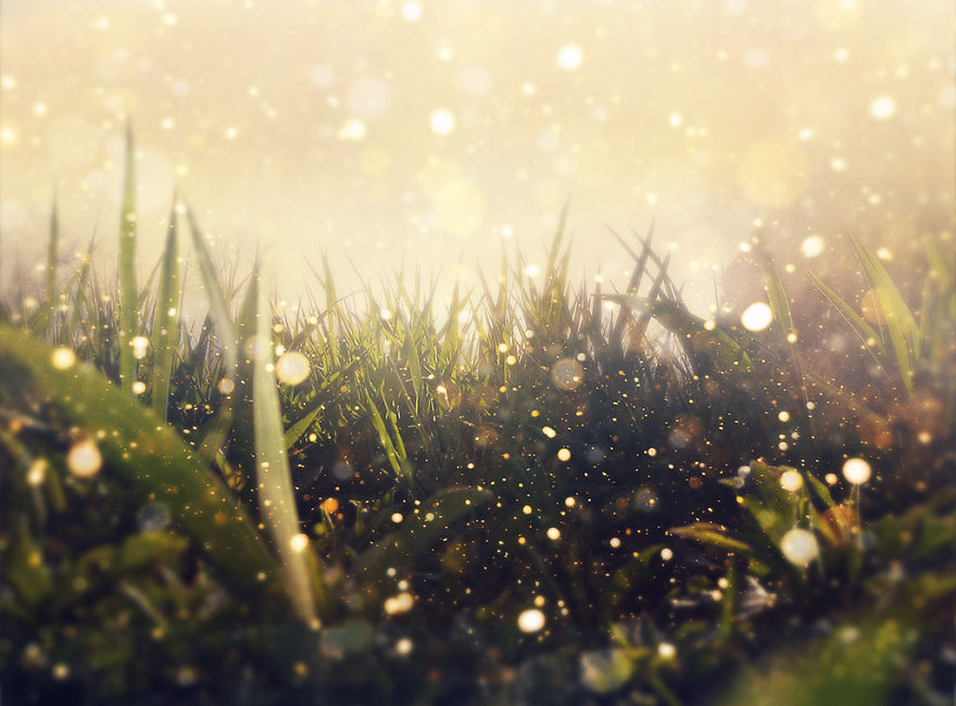 I Create Inspiring Dreamscapes, Blending Photographs Into Art.